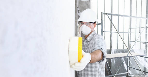 Best Mold Prevention Services in Schulenburg, TX